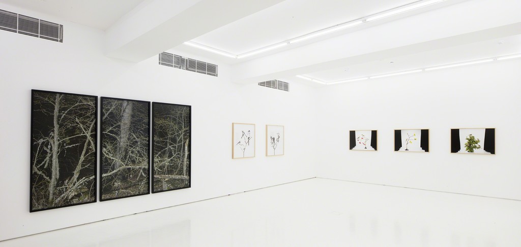 Photo credit: Jussi Tiainen / Courtesy of Helsinki Contemporary. Photo credit: Jussi Tiainen / Courtesy of Helsinki Contemporary.
