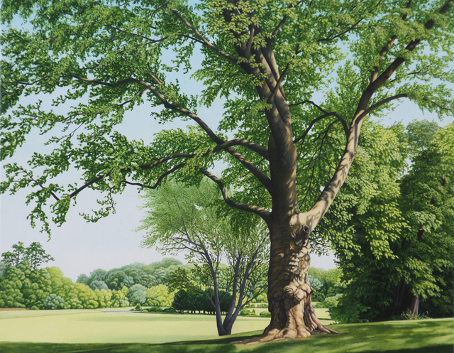 Anita Mazzucca, ‘A Very Large Tree on Bayonet Farm’, 2017, Painting, Oil on Canvas, Gallery Henoch