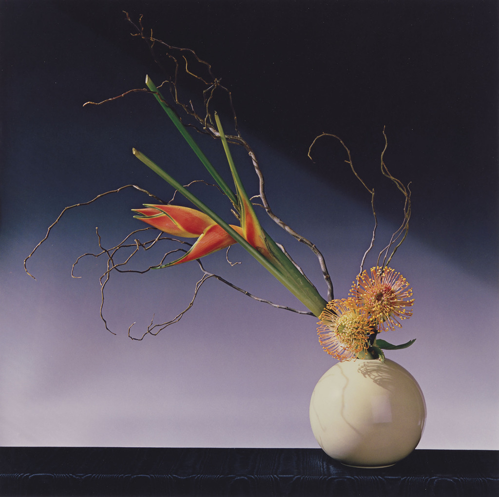 Robert Mapplethorpe - Flower Arrangement