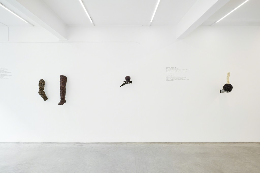 Installation view Installation view