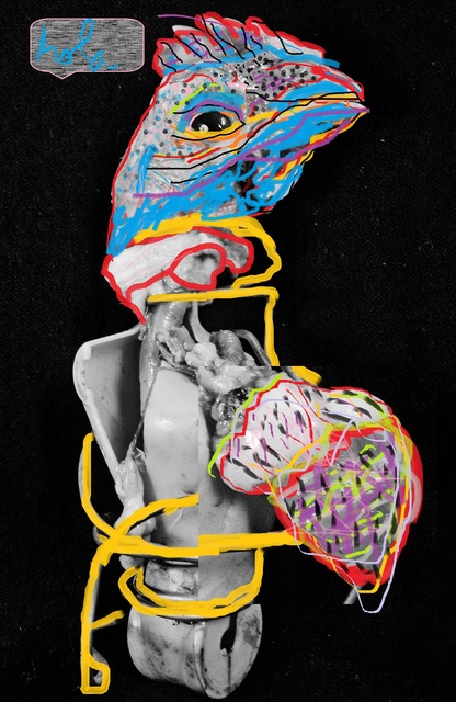 Luna Trelles, ‘Dorazon d Pollo 2’, 2015, IFAC Arts