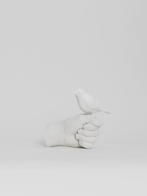 Axel Antas, ‘Lost to sight (White-chested white eye)’, 2019, Photography, C-print, Galleria Heino