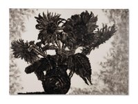 Sun Flowers