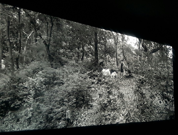 Park Chan-kyong, Citizen's Forest, 2016. Video (b&w), directional sound. 27 minutes. Courtesy of Art Sonje Center and the Taipei Biennial 2016. Park Chan-kyong, Citizen's Forest, 2016. Video (b&w), directional sound. 27 minutes. Courtesy of Art Sonje Center and the Taipei Biennial 2016.