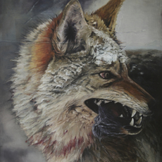 Damien Cadio