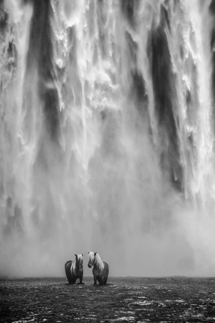 David Yarrow, ‘The Dream’, ca. 2018, Photography, Archival Pigment Print, Samuel Lynne Galleries