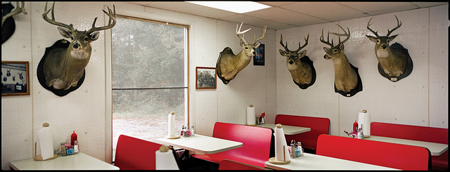 Jerry Siegel, ‘J&R's, Deer Heads, Perry County, AL’, 2002, Spalding Nix Fine Art