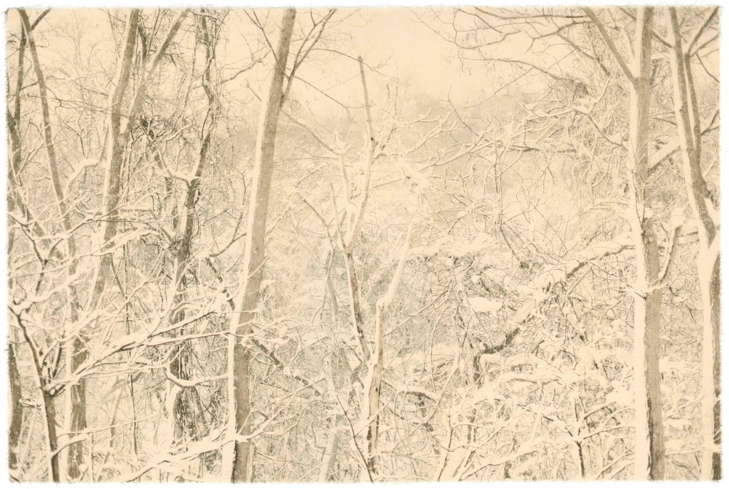 Season Lao,(劉 善恆) / Niseko, Hokkaido, Japan / 57.8 x 38.8 cm / giclee print on handmade paper / 2017 / Edition : 3
Season Lao,(劉 善恆) / Niseko, Hokkaido, Japan / 57.8 x 38.8 cm / giclee print on handmade paper / 2017 / Edition : 3