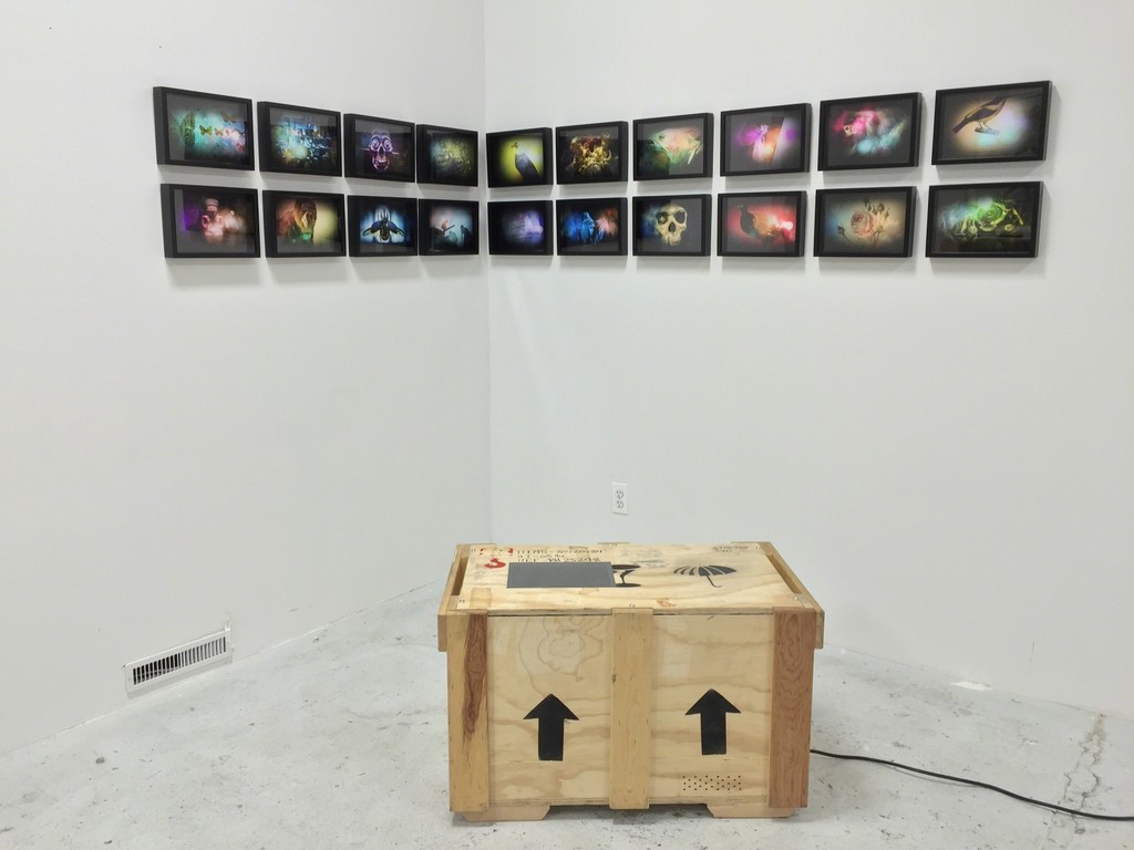 ADOLFO DORING
THE NATURE OF MAN
2015
Shipping Crate, Video Projector, and Sound + set of 20 color photographs framed in black edition 1 of 2 ADOLFO DORING
THE NATURE OF MAN
2015
Shipping Crate, Video Projector, and Sound + set of 20 color photographs framed in black edition 1 of 2