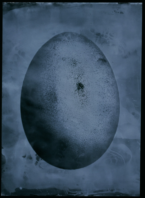 Paul Quant, ‘Fertility’, Galleri Duerr