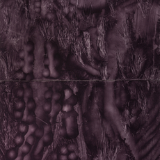 António Neves Nobre
