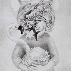 Alice Lin