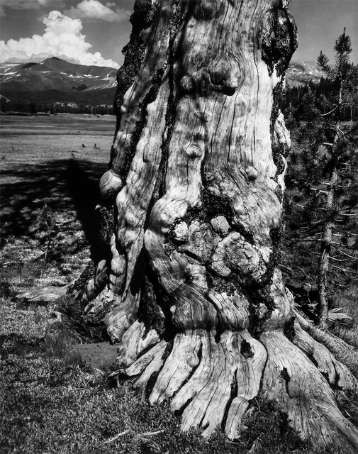 Ansel Adams, ‘Tuolomne Meadows’, 1941, Atlas Gallery
