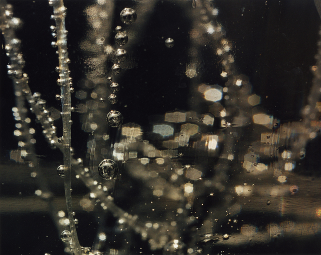 Anne Veraldi, ‘Filament #12’, 2006, Photography, C Print, Fouladi Projects