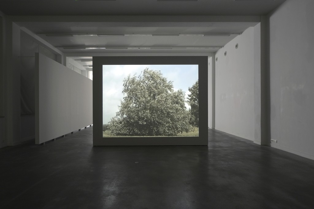 David Claerbout, Boom, Tree, Arbre, 1996 (still) © Isabelle Arthuis David Claerbout, Boom, Tree, Arbre, 1996 (still) © Isabelle Arthuis