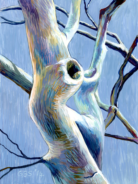 Gillian Bradshaw-Smith, ‘Finding Daphne #9 (Focus)’, 2014, Ro2 Art