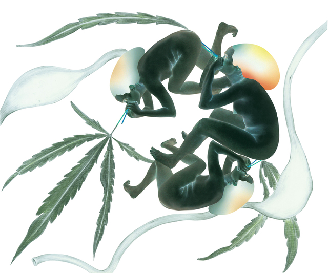 ShihFen Liu, ‘12 Disciples- Marijuana’, 2007, Asia University Museum of Modern Art