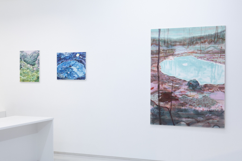 Installation view from "Sky-Eye Weaver" 8/ ART GALLERY/ Tomio Koyama Gallery, 2016 ©Yuka Kashihara, photo by Kenji Takahashi Installation view from "Sky-Eye Weaver" 8/ ART GALLERY/ Tomio Koyama Gallery, 2016 ©Yuka Kashihara, photo by Kenji Takahashi