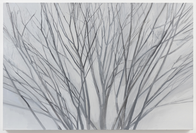 Sylvia Plimack Mangold, ‘Winter Maple 2017’, 2017, Painting, Oil on linen, Alexander and Bonin