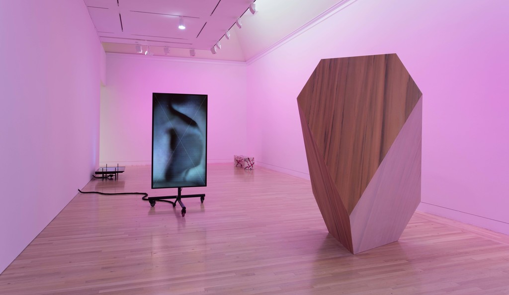 Shahryar Nashat. Installation view, Made in L.A. 2016: a, the, though, only, June 12 – August 28, 2016, Hammer Museum, Los Angeles. Photo: Brian Forrest. Shahryar Nashat. Installation view, Made in L.A. 2016: a, the, though, only, June 12 – August 28, 2016, Hammer Museum, Los Angeles. Photo: Brian Forrest.