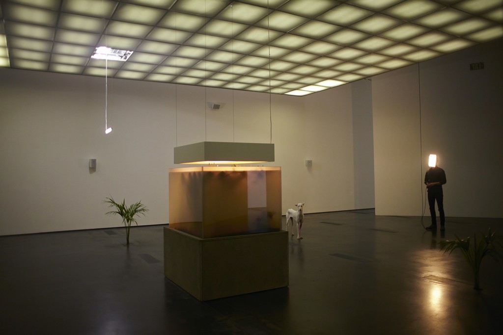 Pierre Huyghe at LACMA, 2015, Photo by Ola Rindal Pierre Huyghe at LACMA, 2015, Photo by Ola Rindal