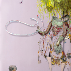 Wang Xuan 王璇