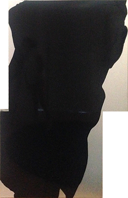 Cabrita, ‘The Aluminum black Flowers #2’, 2001, Painting, Acrylic on aluminum, Galeria Filomena Soares