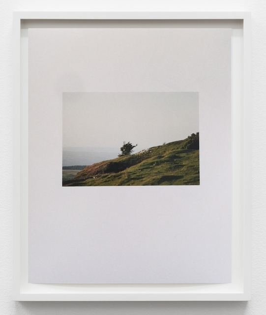 Daniel Gustav Cramer, ‘Evening Mountain Sheep’, 2016, &editions