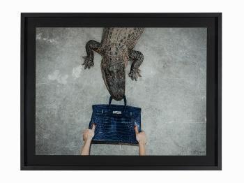 Tyler Shields - Hermes Birkin, Gator, Hands