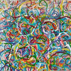 Dorit Shalev Fried