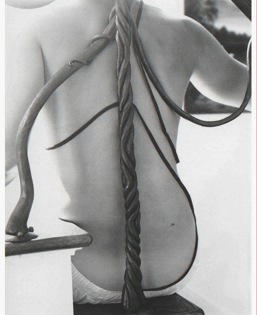 Hand-initialed, bound platinum print from 21st Editions' "Sally Mann" Hand-initialed, bound platinum print from 21st Editions' "Sally Mann"