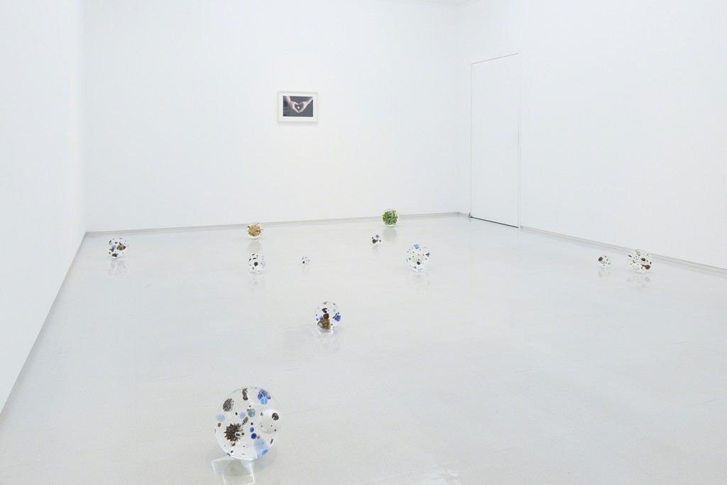 Installation view from “A Cosmology from Forest” 8/ ART GALLERY/ Tomio Koyama Gallery, 2017 ©Satoshi Hirose, photo by Kenji Takahashi Installation view from “A Cosmology from Forest” 8/ ART GALLERY/ Tomio Koyama Gallery, 2017 ©Satoshi Hirose, photo by Kenji Takahashi
