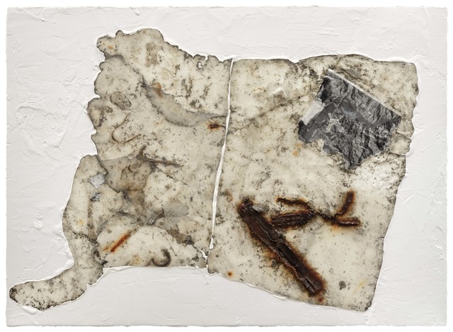 Shang Yang 尚扬, ‘Decayed Book – Literature 坏书—文学’, 2018, Painting, Mixed media on canvas 布面综合材料, Chambers Fine Art