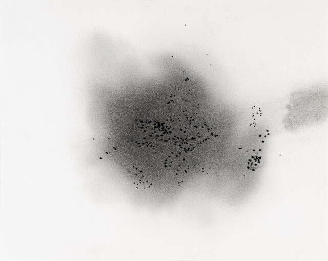 ''Dust'' Series — Çağla Köseoğulları (2023)