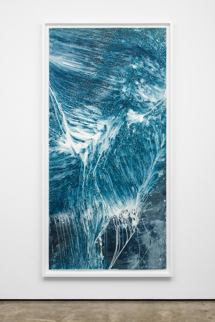 Meghann Riepenhoff, ‘Ecotone #834 (Big Creek, WA 03.07.20, Snow and Freezing Rain, Draped, Ferns and Stumps)’, 2020, Photography, Dynamic cyanotype, Lora Reynolds Gallery