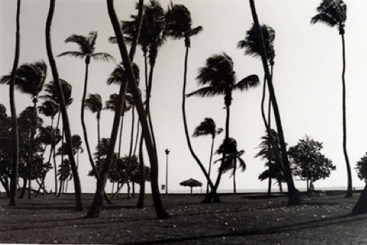 Christopher Makos, ‘Palm Beach’, 1987, Photography, Contemporary Fiber-Based Silver Gelatin Prints, Miller Gallery