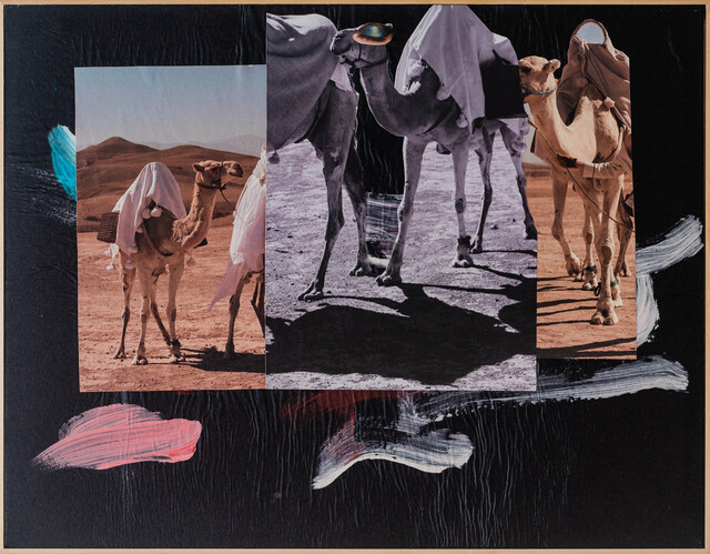 Desert Pilgrimage