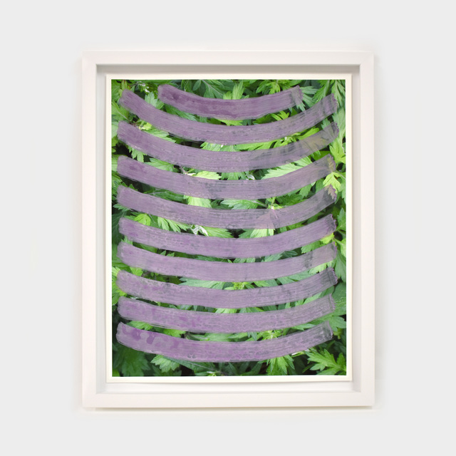 Andrew Dadson, ‘Mugwort (Chrysanthemum weed) Violet’, 2020, Mixed Media, Natural milk paint, biodegradable earth pigments, limestone, chalk, cochineal, water on inkjet print, Contemporary Art Gallery