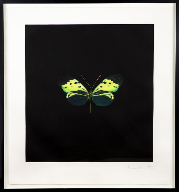 Damien Hirst, ‘The Souls on Jacobs Ladder Take Their Flight Green Butterfly’, 2007, Modern Artifact