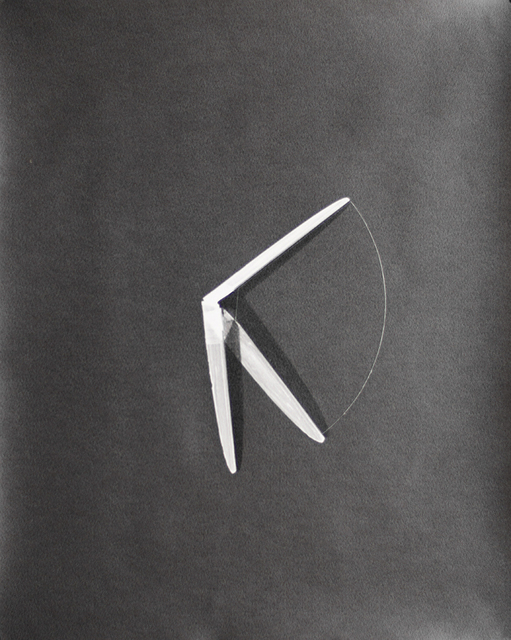 Leticia Ramos, ‘BICHO REDONDO XV’, 2018, Photography, Silver print, Monica De Cardenas