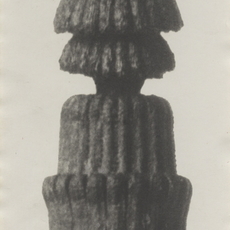 Karl Blossfeldt