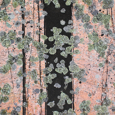 Ed Bartram