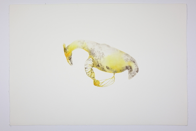 Kate Walters, ‘Heart Birth and Navel Crown I ’, 2018, Painting, Watercolour, Arusha Gallery