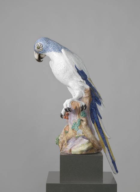 Johann Joachim Kändler, ‘Blue Macaw’, 1731, Rijksmuseum