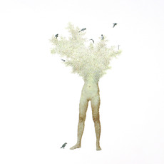 Keun Young Park