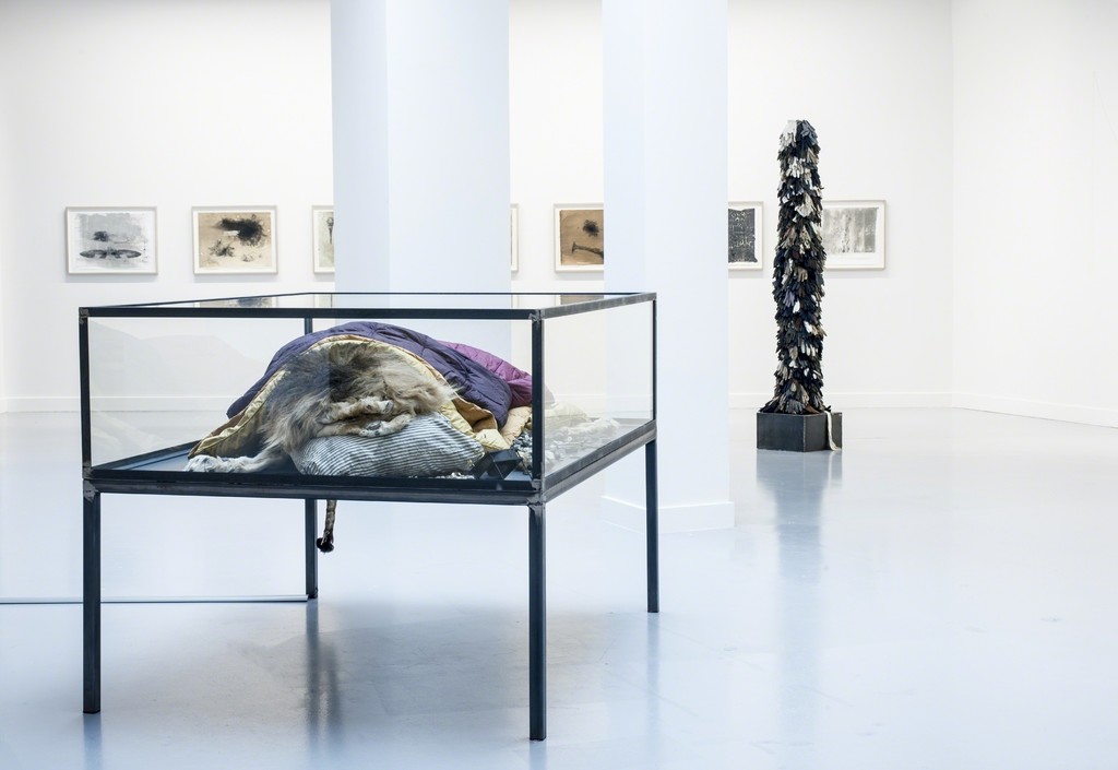 Ricardo Brey, exhibition view M HKA, 2015 photo M HKA Ricardo Brey, exhibition view M HKA, 2015 photo M HKA
