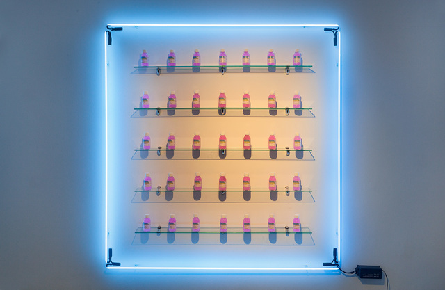 Preserve Democracy — Ludovic Bernhardt (2016)