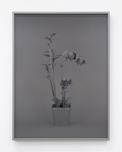 Stephanie Syjuco, ‘Neutral Orchids (Phalaenopis + Dracaena sanderana 2)’, 2016, Contemporary Art Museum St. Louis Benefit Auction