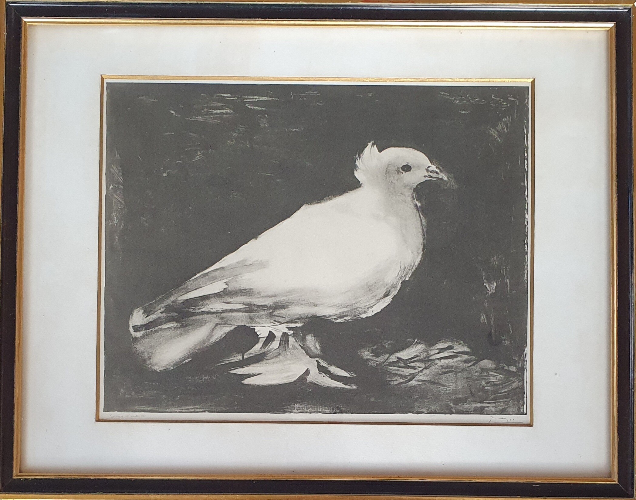 The Dove — Pablo Picasso