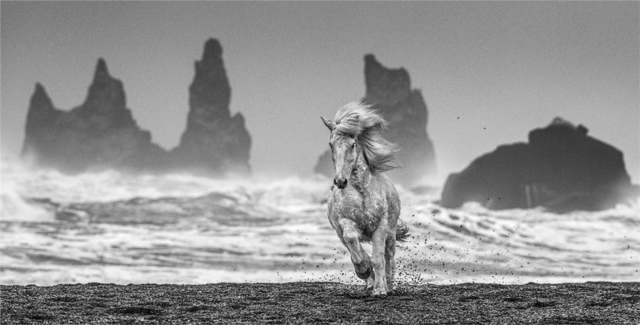David Yarrow, ‘White Horses, Iceland’, 2018, Photography, Archival Pigment Photograph, Holden Luntz Gallery